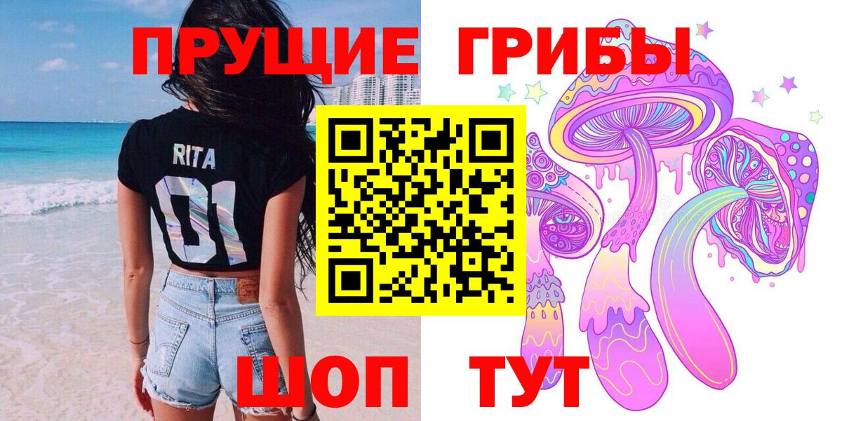 Псилоцибиновые грибы Psilocybine cubensis Тихорецк